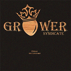GrowerSyndicate - Лучшие Семена конопли