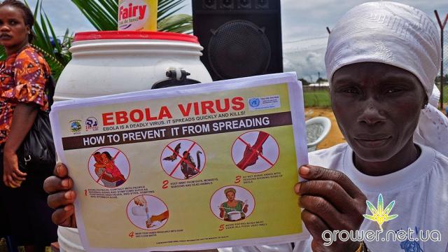 Подробная информация о "Марихуана может быть полезна в лечении Эболы"