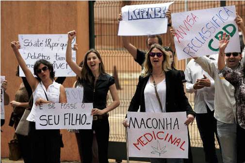 Подробная информация о "Легализация конопли рассматривается в Бразилии"