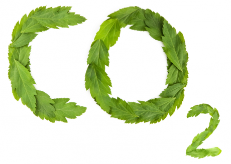 Подробная информация о "Значение СО2 при выращивании конопли"