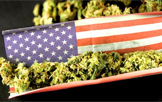 Подробная информация о "Легализация марихуаны в США. Этапы большого пути"