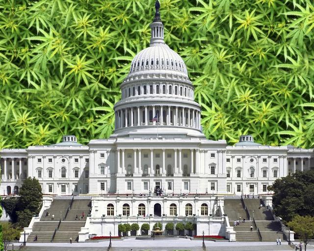 usa-marijuana-legalization4.jpg