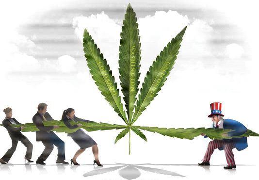 usa-marijuana-legalization5.jpg