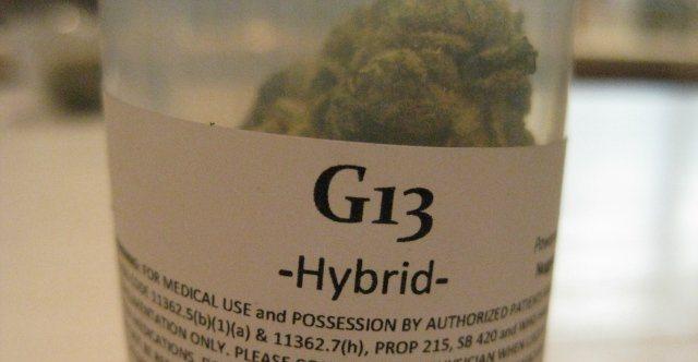 ie-g13-medical-marijuana-g13-weed-thcfinder.JPG