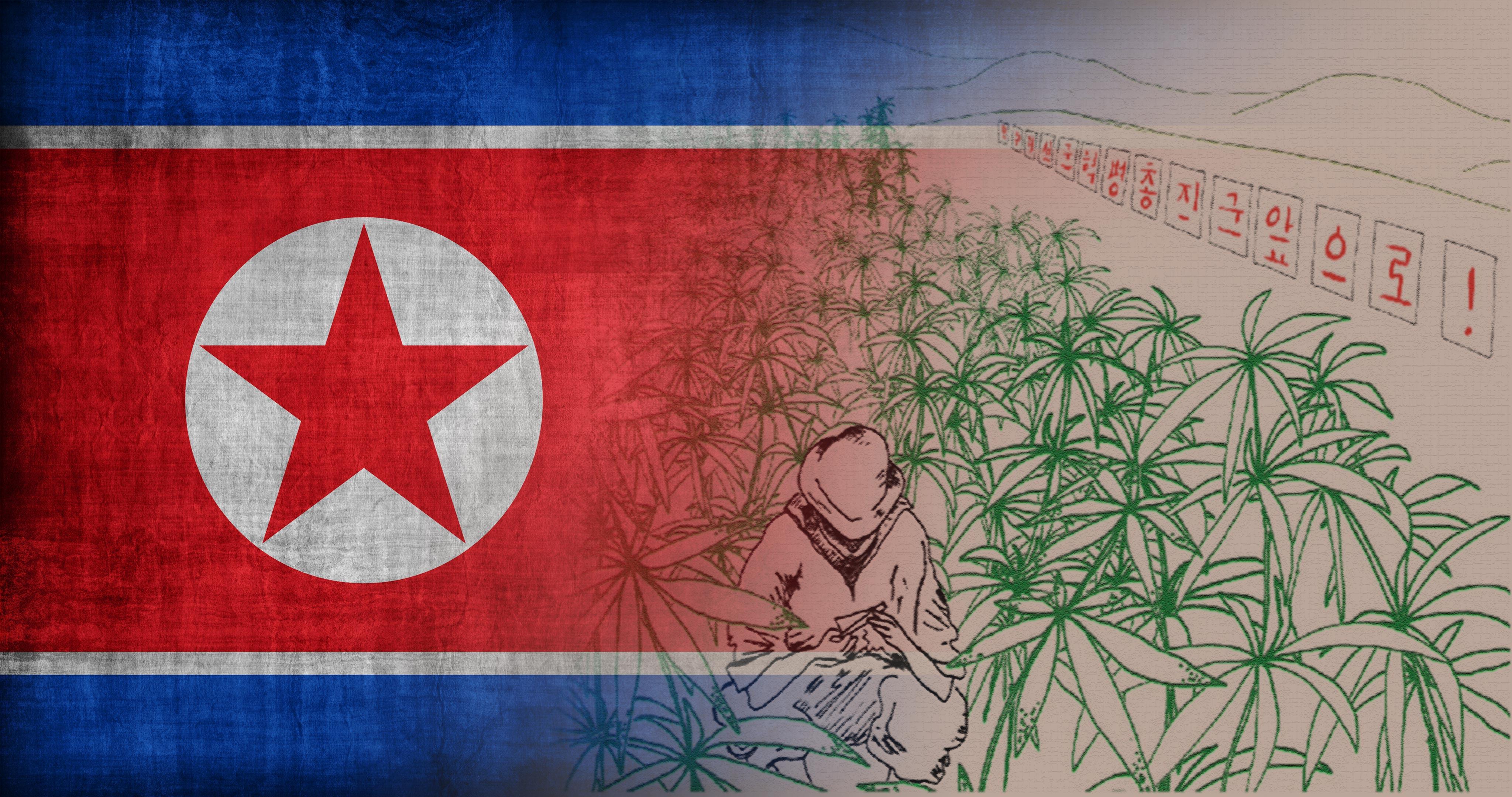 Подробная информация о "Как обстоит ситуация с коноплей в Северной Корее?"