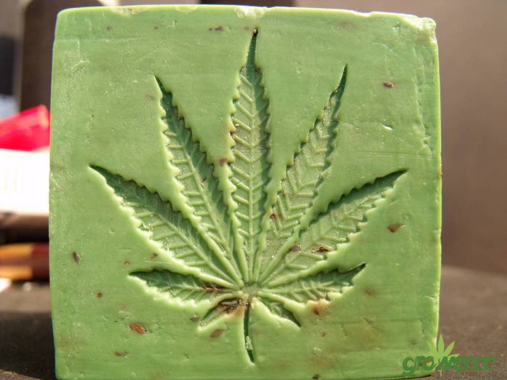 cannabis-soap.jpg