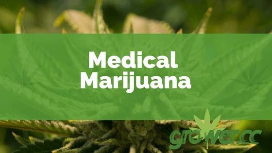 medical-marijuana-image.jpg