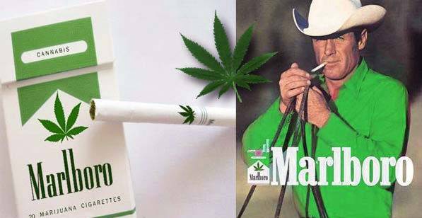 Подробная информация о "Табак прошлый век, Marlboro займется выращиванием конопли?"