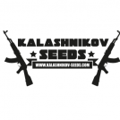KalashnikovSeeds